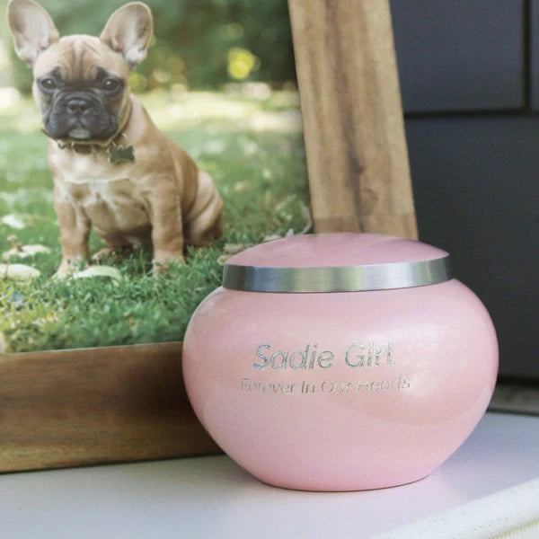 Odyssey Pink, Cremation Urn, Small, Medium, Large Size for Dog or Cat, up to 70lbs